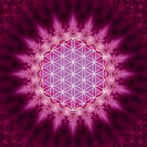 Reiki | Johan | Leeuwarden | reikipraktijk-kinyoubi.nl | Flower of life... | 