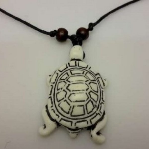 Reiki | Johan | Leeuwarden | reikipraktijk-kinyoubi.nl | Ketting Schildpad | k schild 1